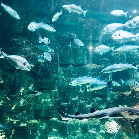 Πλωτό κατάλυμα Nuit Insolite A Bord D'un Voilier *