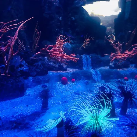 Nuit Insolite A Bord D'un Voilier Λα Ροσέλ